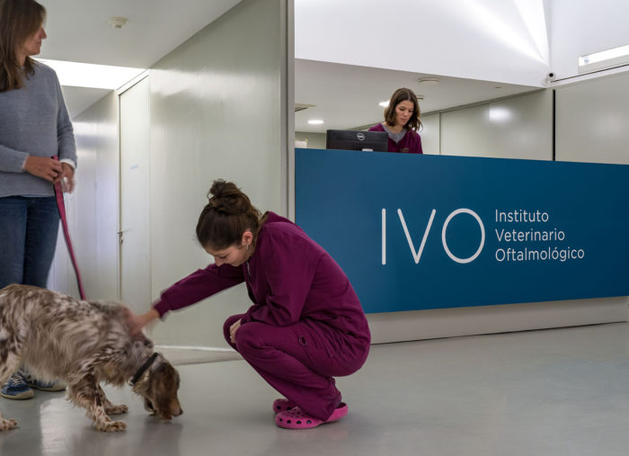 IVO apuesta por la mejora de la experiencia de sus clientes, pacientes y prescriptores